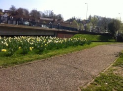 Kathy Take Notice Place Six Ways to Wellbeing