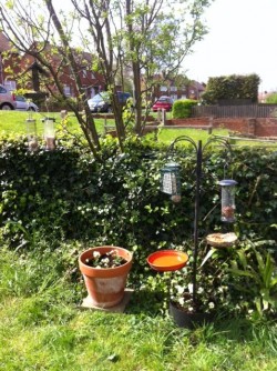 Kathy Birdwatching Care Planet Six Ways to Wellbeing