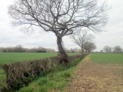 Eric Be Active Six Ways to Wellbeing