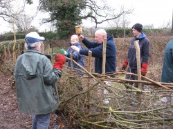 Take Notice: Six Ways to Wellbeing Dunorlan Hedge laying