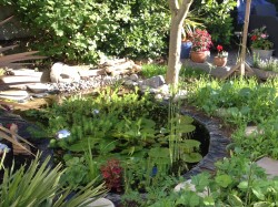 Take Notice Six Ways to Wellbeing: Elena