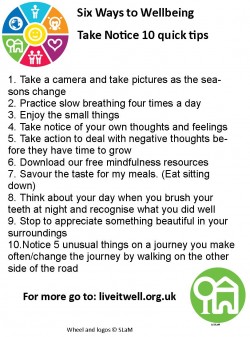 Take Notice 10 Quick Tips